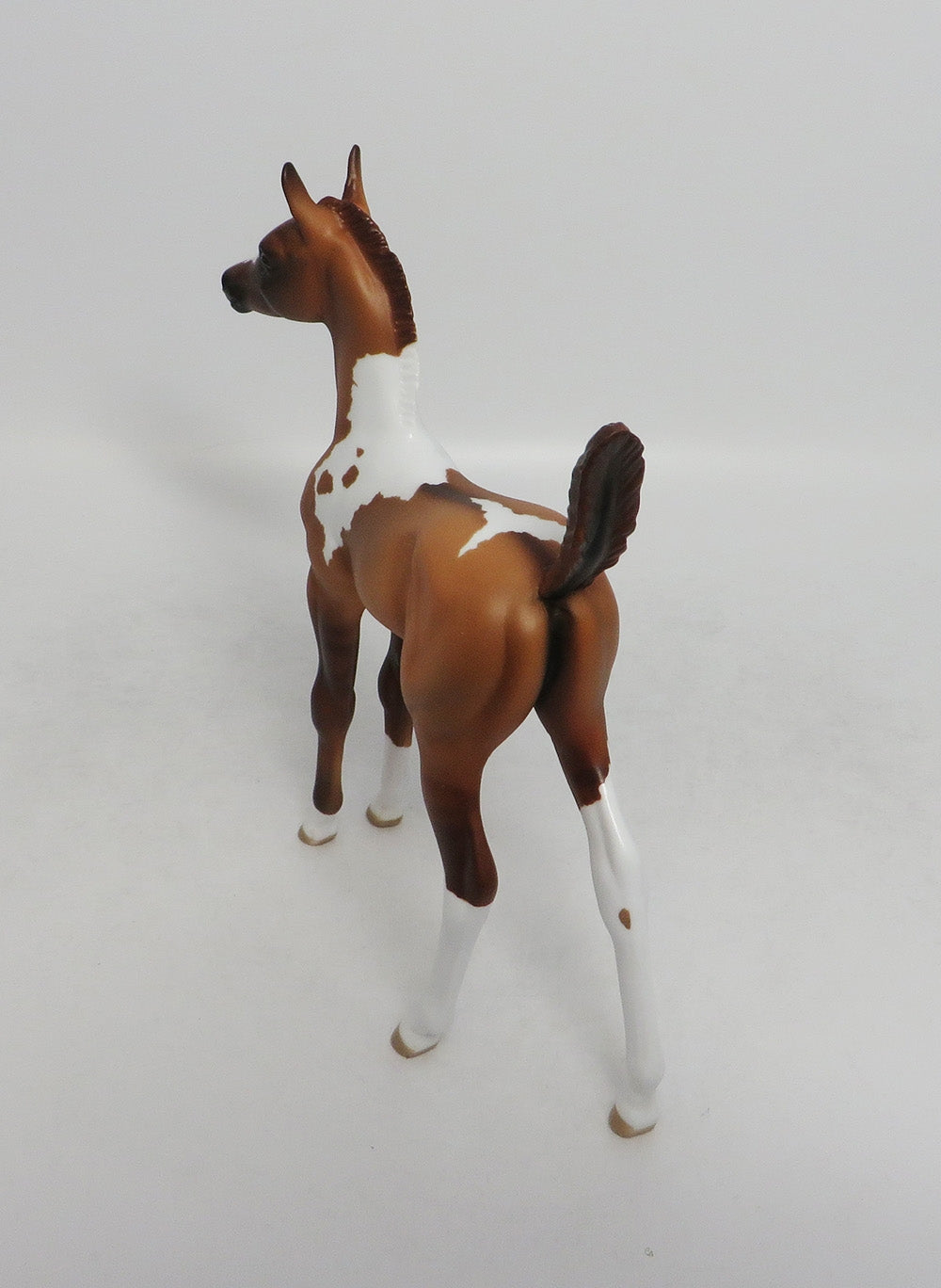 PASTRAMI-OOAK RED DUN TOBIANO FOAL MODEL HORSE 8/24/18