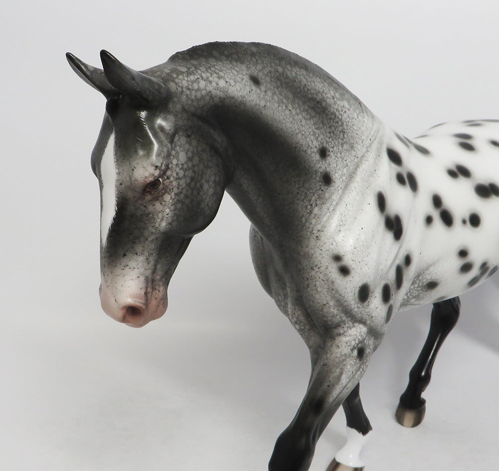 BLUE CLUES-OOAK APPALOOSA IRISH DRAFT MODEL HORSE 8/24/18