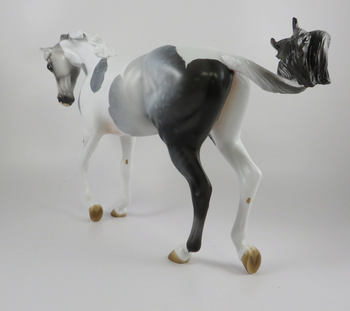 KUNLUN - OOAK DAPPLE GREY PINTO CM THOROUGHBRED MODEL HORSE BY AUDREY DIXON 9/18/19