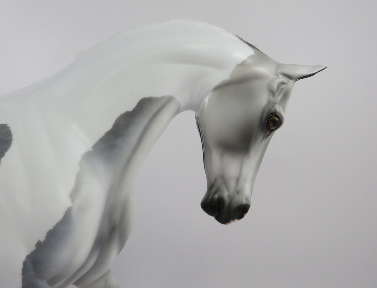 KUNLUN - OOAK DAPPLE GREY PINTO CM THOROUGHBRED MODEL HORSE BY AUDREY DIXON 9/18/19