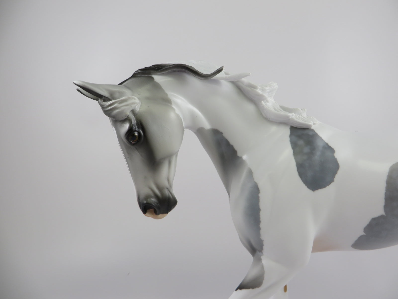 KUNLUN - OOAK DAPPLE GREY PINTO CM THOROUGHBRED MODEL HORSE BY AUDREY DIXON 9/18/19