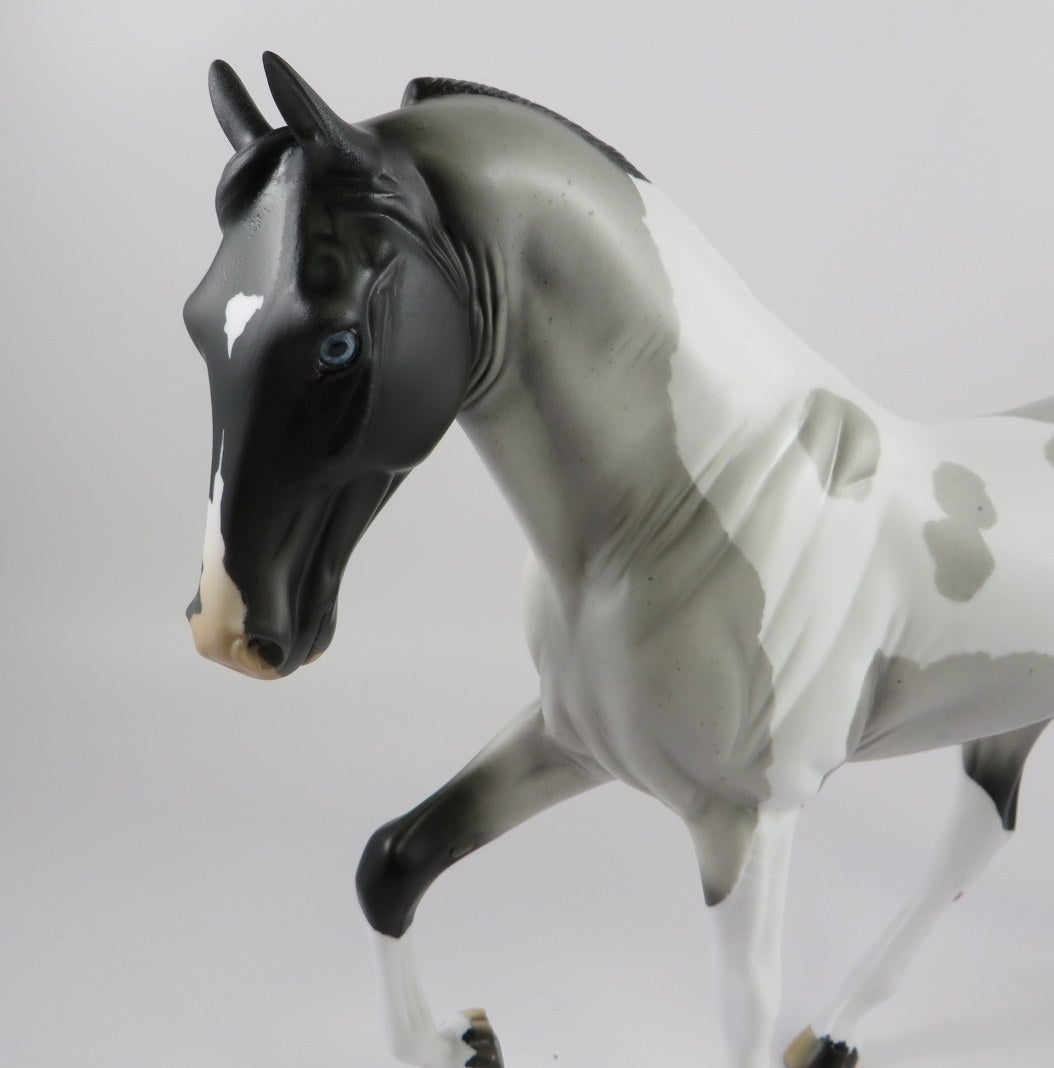 WRANGELL -OOAK BLUE ROAN TWH MODEL HORSE BY AUDREY DIXON 9/18/19