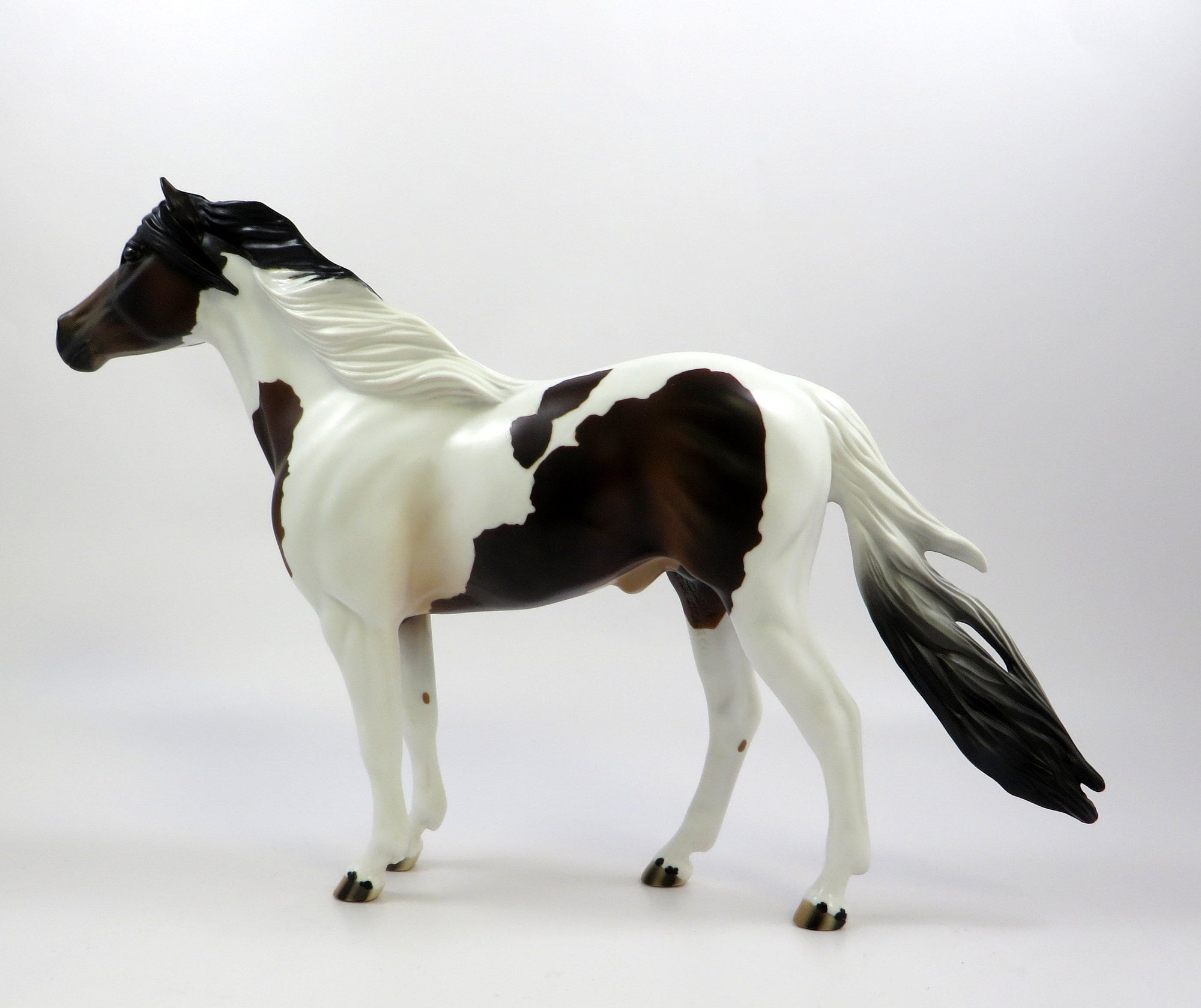 BUCK-OOAK BAY PINTO SPANISH MUSTANG MODEL HORSE 5/23/19