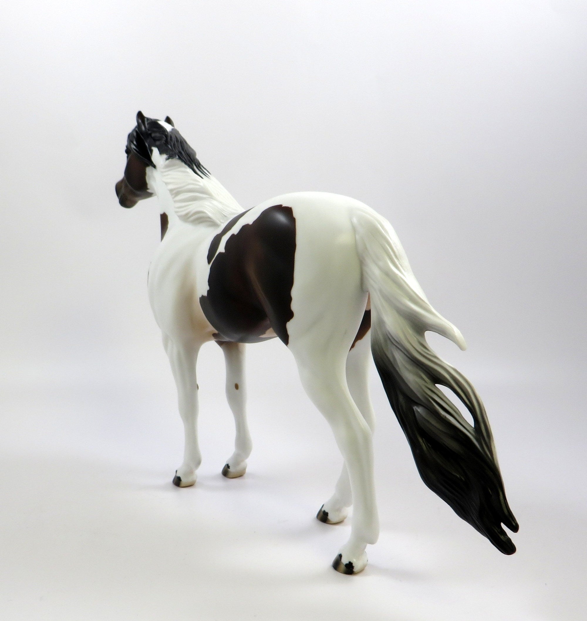 BUCK-OOAK BAY PINTO SPANISH MUSTANG MODEL HORSE 5/23/19