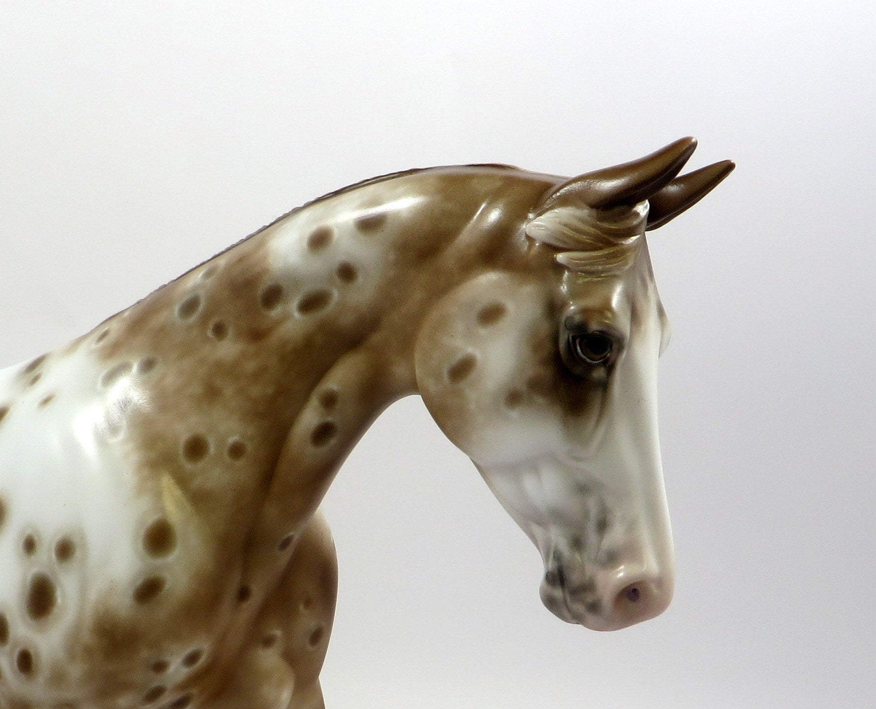 TEACHERS PET - OOAK - APPALOOSA PALOUSE MODEL HORSE BY SHERYL LEISURE 5/29/19