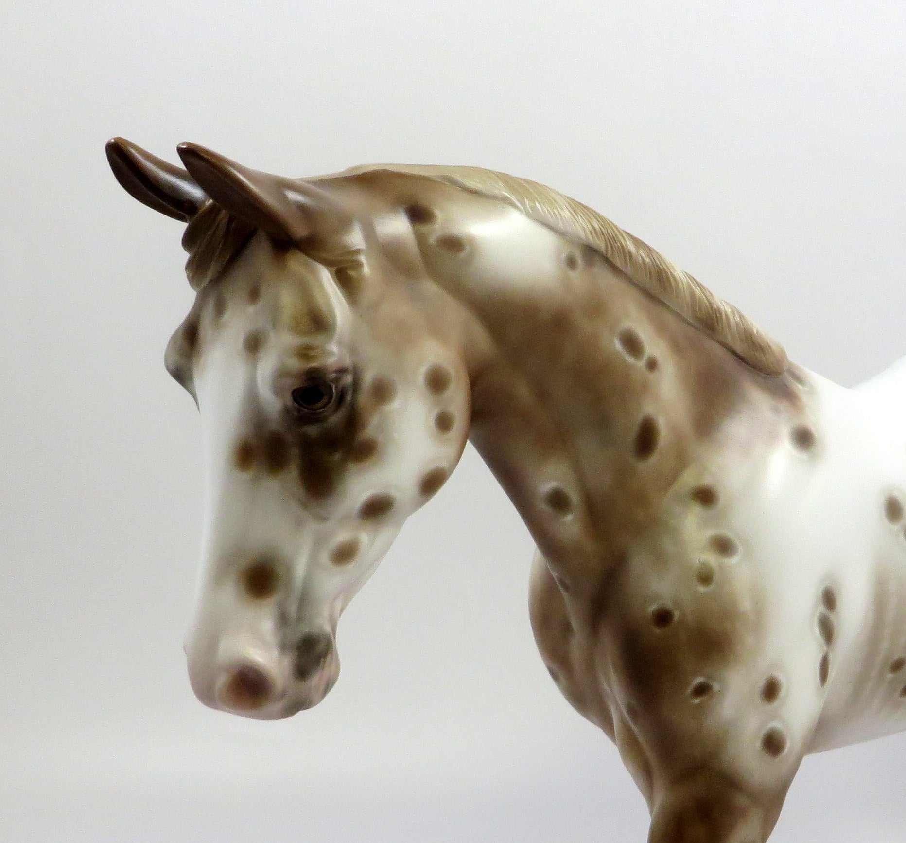 TEACHERS PET - OOAK - APPALOOSA PALOUSE MODEL HORSE BY SHERYL LEISURE 5/29/19