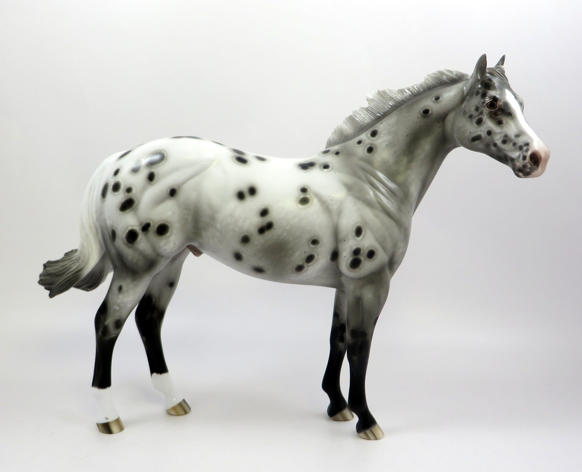 BEWITCHED-OOAK APPALOOSA ISH MODEL HORSE BY SHERYL LEISURE 5-29-19