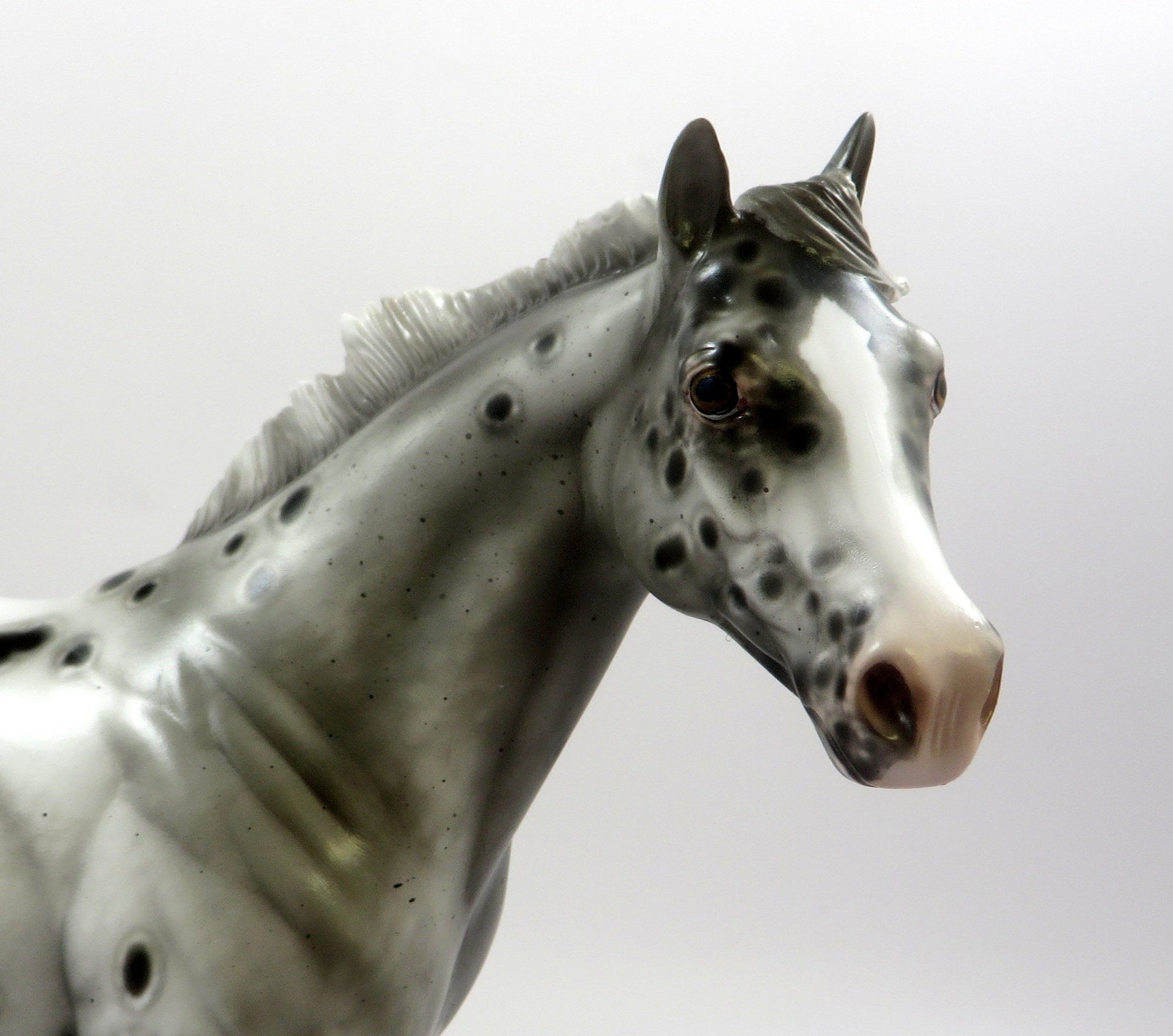 BEWITCHED-OOAK APPALOOSA ISH MODEL HORSE BY SHERYL LEISURE 5-29-19