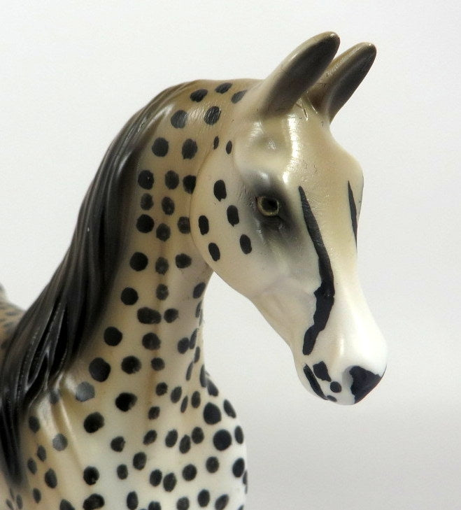 CHEETAH- LE-10- CHEETAH SADDLEBRED PEBBLE LHS BY AUDREY DIXON 2019