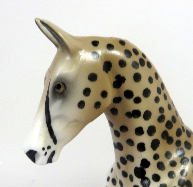 CHEETAH- LE-10- CHEETAH SADDLEBRED PEBBLE LHS BY AUDREY DIXON 2019