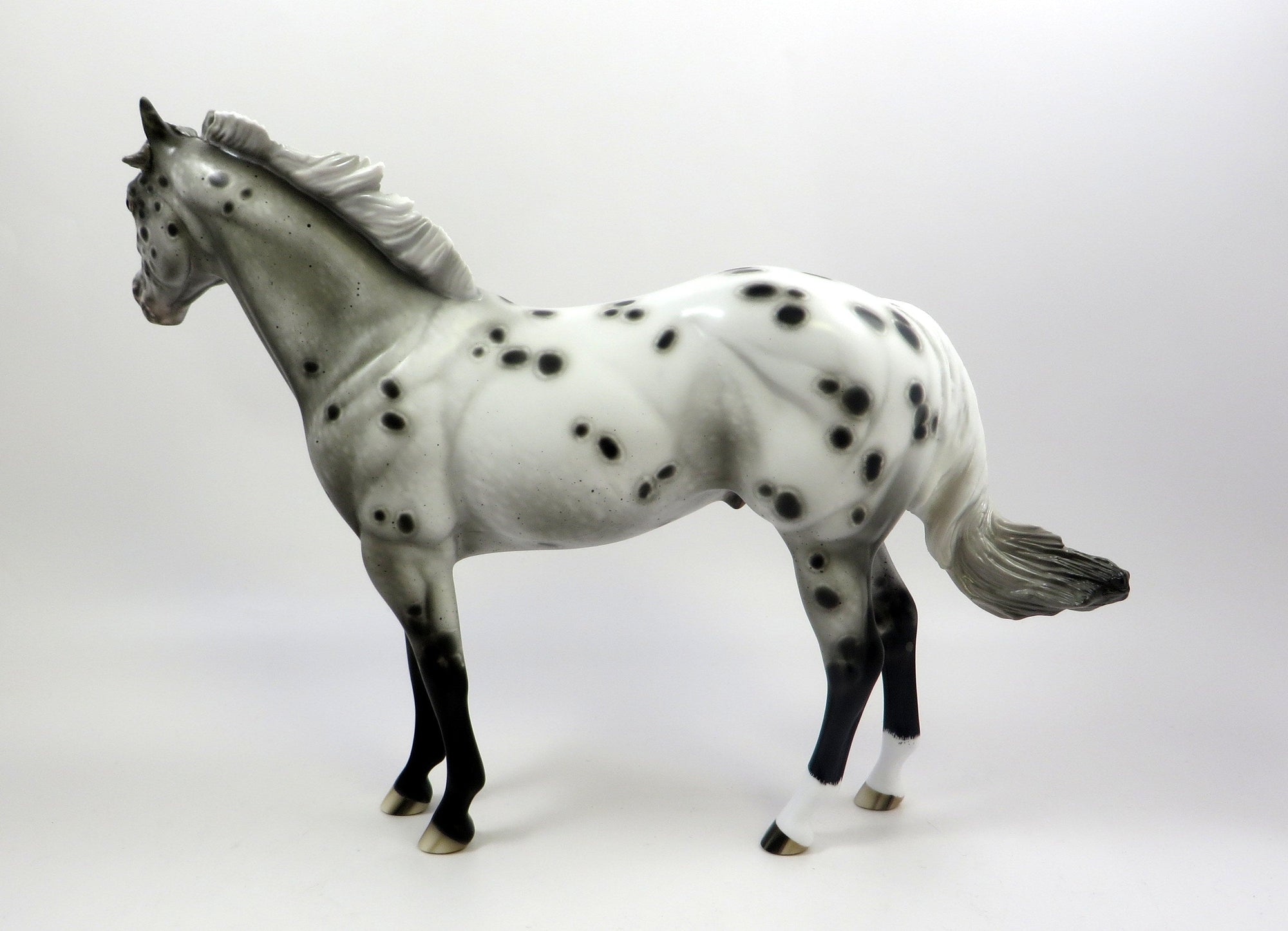 BEWITCHED-OOAK APPALOOSA ISH MODEL HORSE BY SHERYL LEISURE 5-29-19