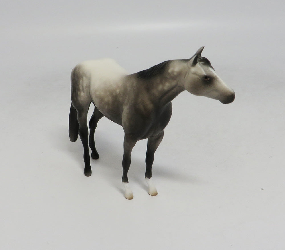 BIG SUR-OOAK DAPPLE GREY QUARTER HORSE 9/18/2018