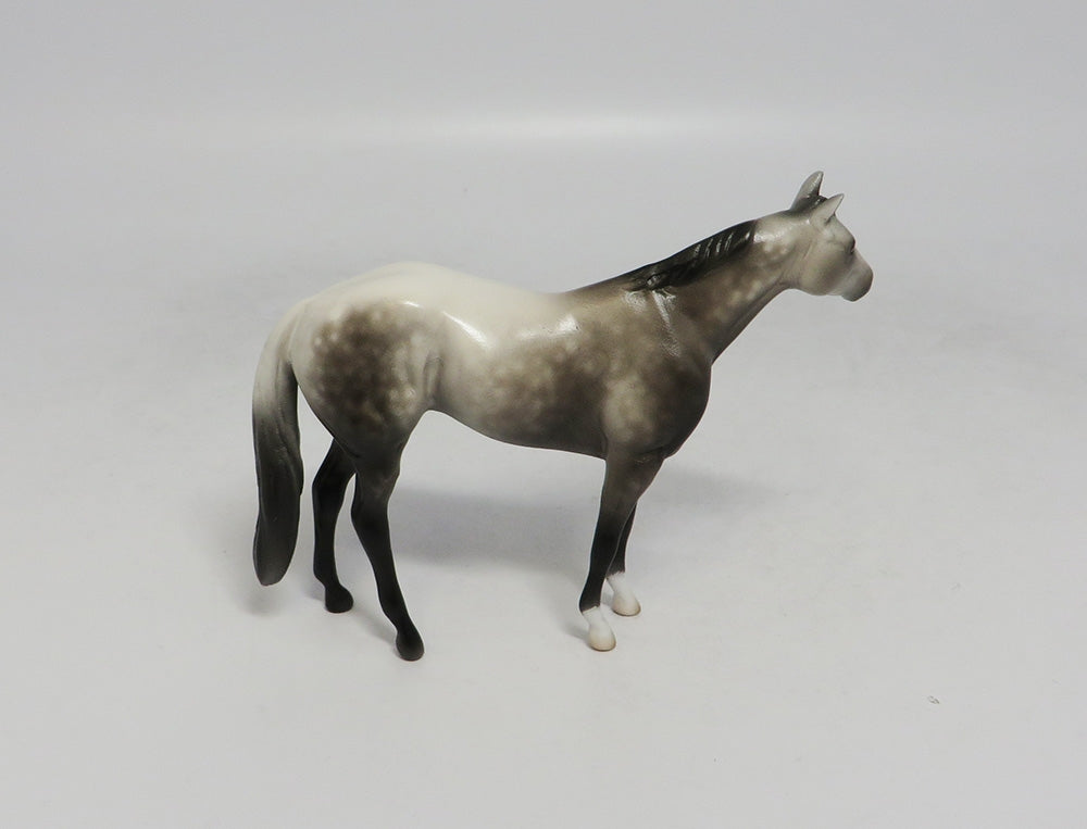 BIG SUR-OOAK DAPPLE GREY QUARTER HORSE 9/18/2018