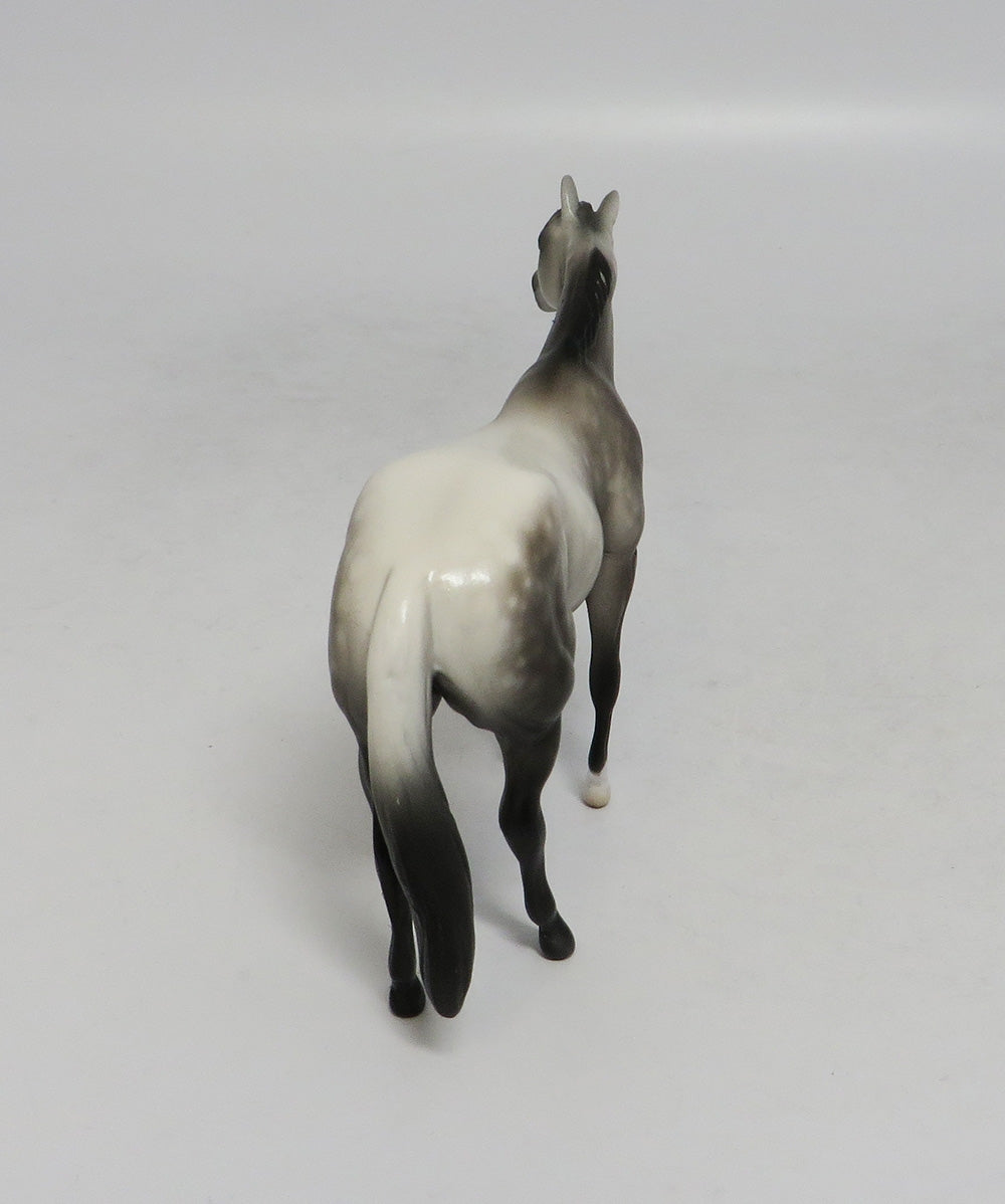 BIG SUR-OOAK DAPPLE GREY QUARTER HORSE 9/18/2018