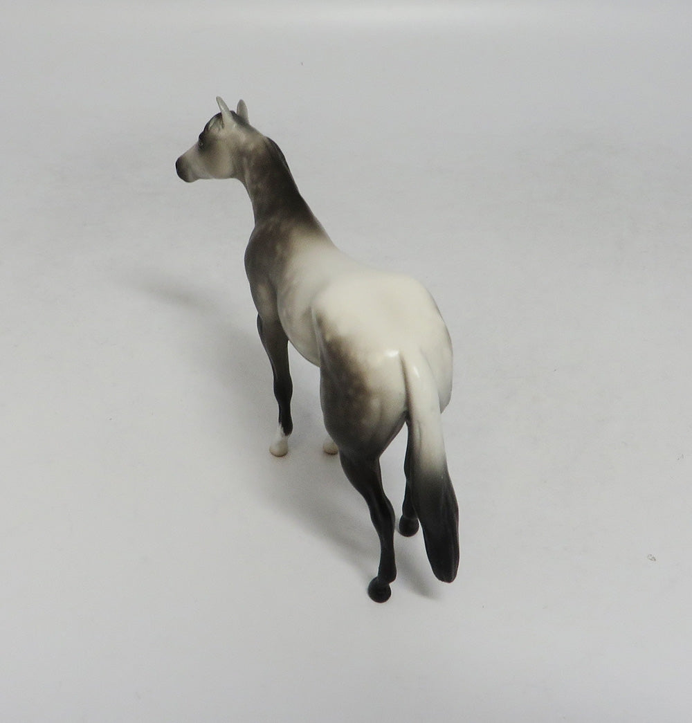 BIG SUR-OOAK DAPPLE GREY QUARTER HORSE 9/18/2018