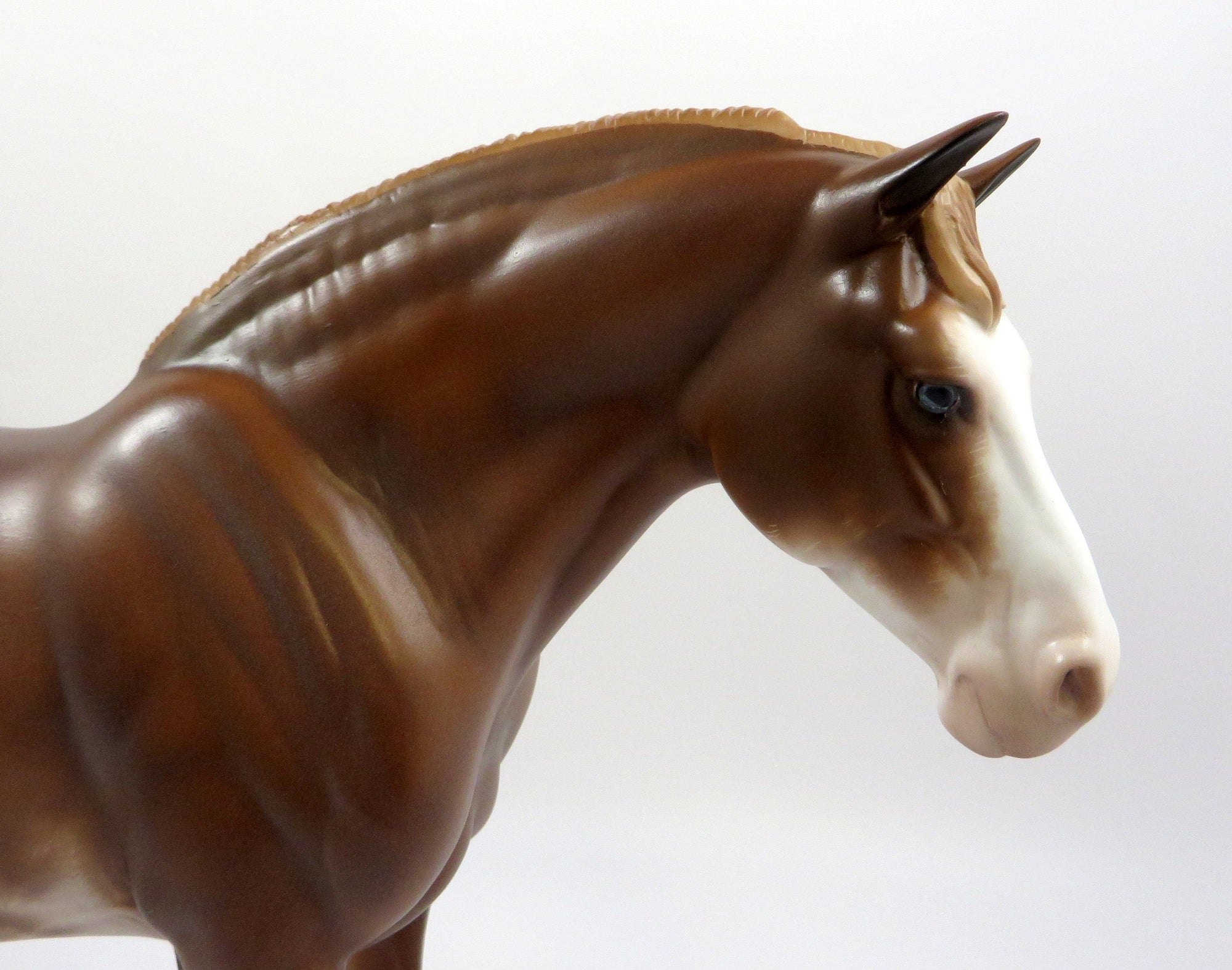 ESTEE -- OOAK CHESTNUT ROAN SABINO HEAVY DRAFT BY SHERYL LEISURE 6/7/19