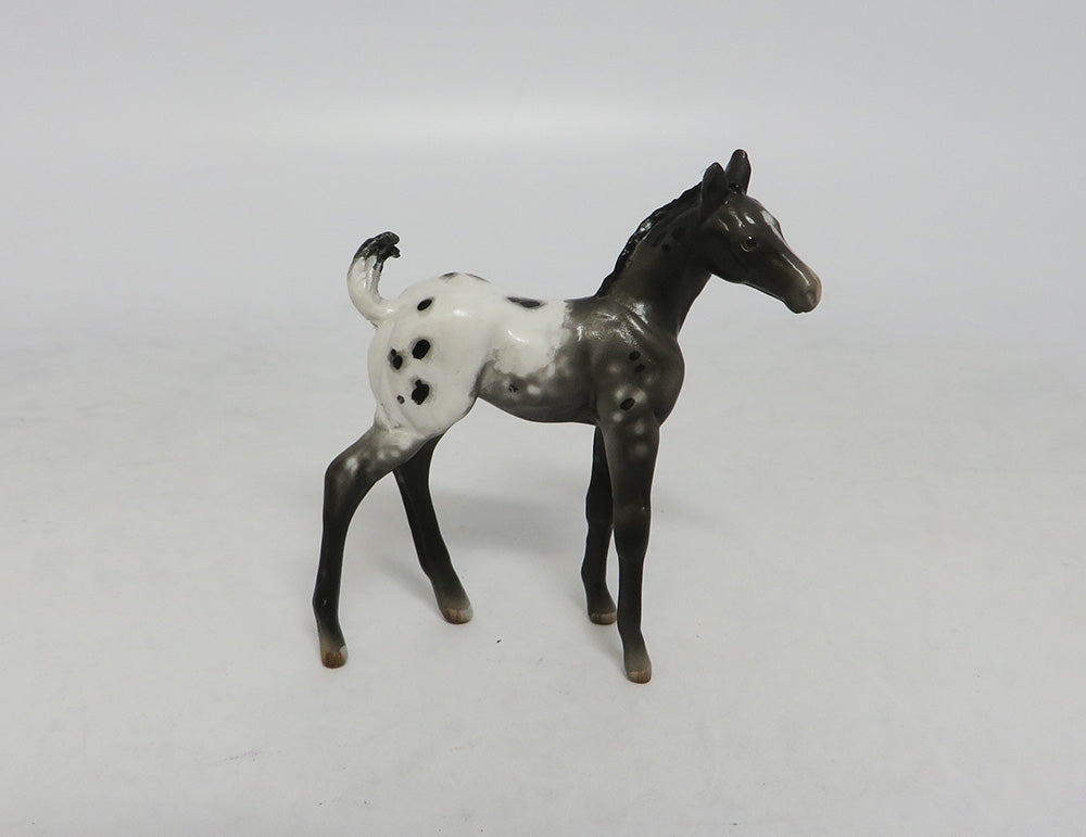 BLACK WONDER-OOAK APPALOOSA FOAL CHIP LHS 2018