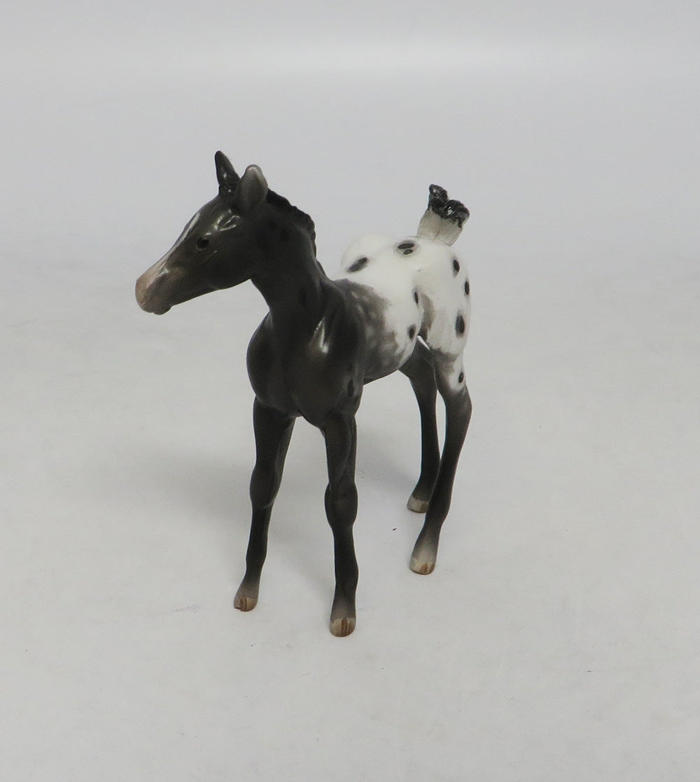 BLACK WONDER-OOAK APPALOOSA FOAL CHIP LHS 2018
