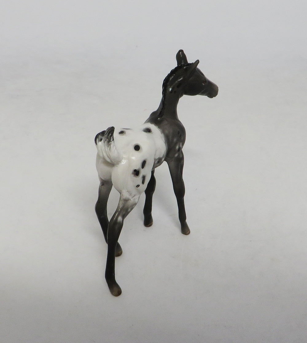 BLACK WONDER-OOAK APPALOOSA FOAL CHIP LHS 2018