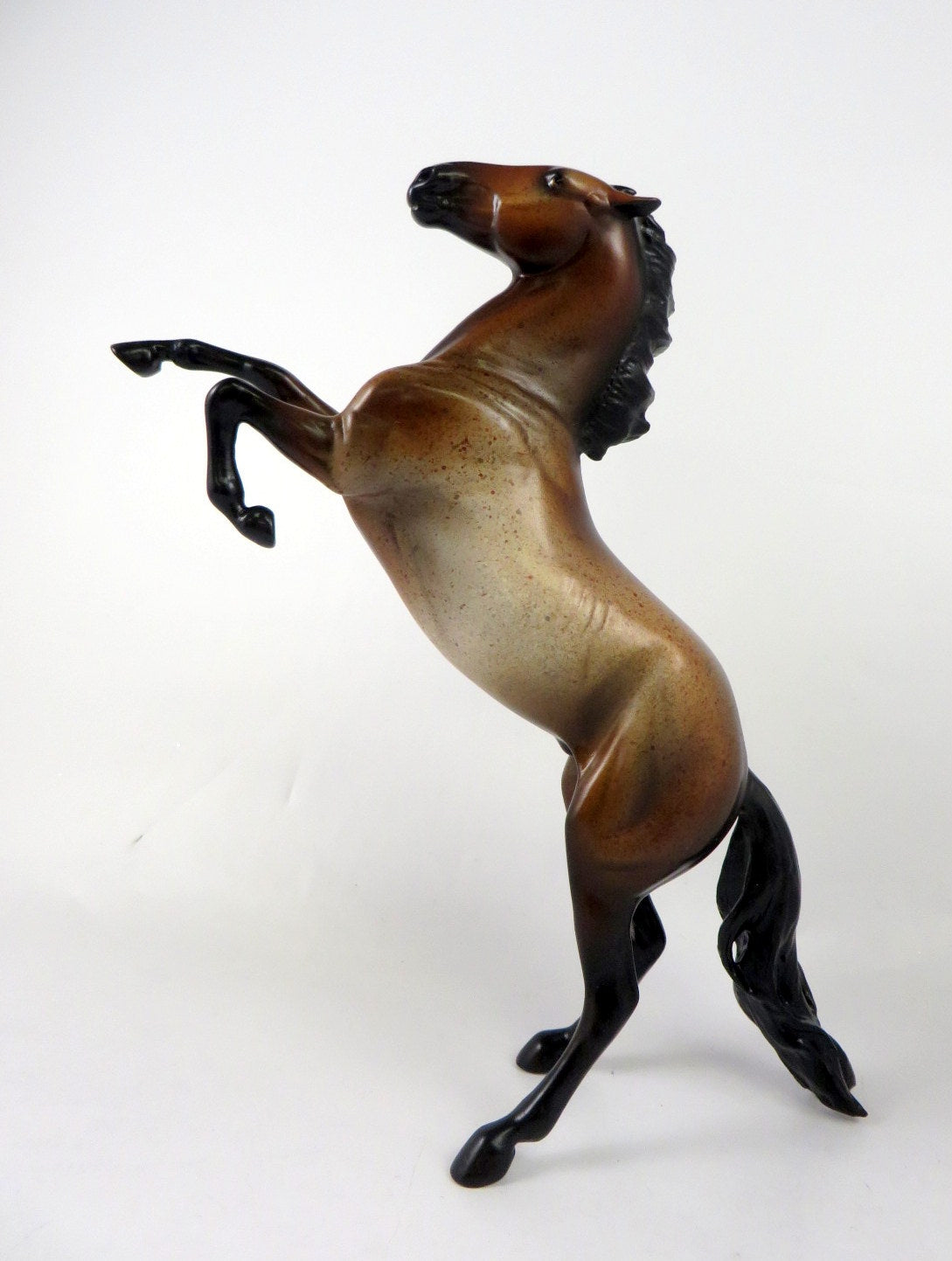 FIG - OOAK BAY ROAN REARING PEBBLES BY MELISSA FOX 11-8-19