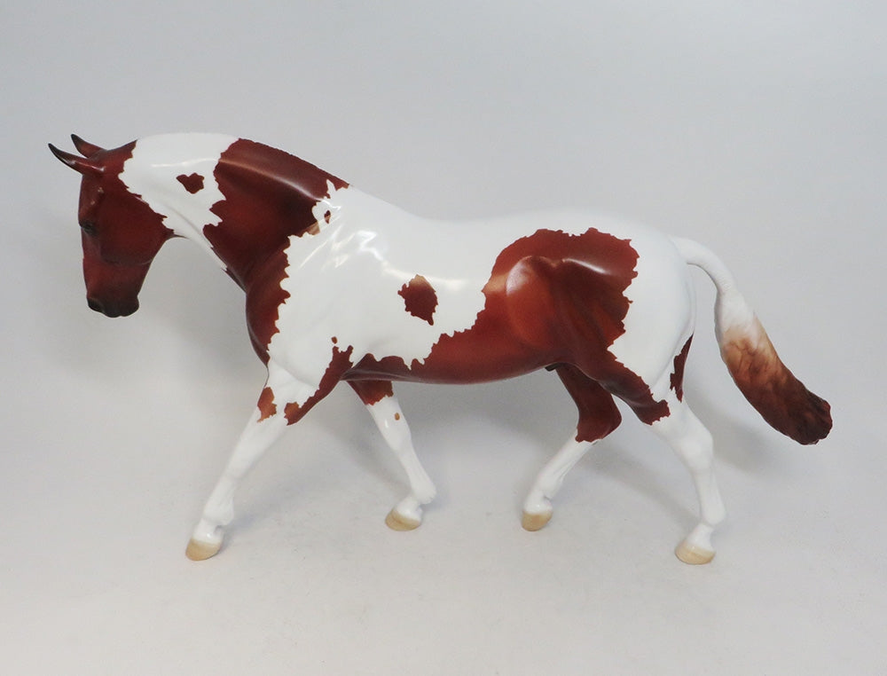 SEYMOUR- LE-15- CHESTNUT PINTO IRISH DRAFT MODEL HORSE BY AMANDA HOSTETLER 10/18/18