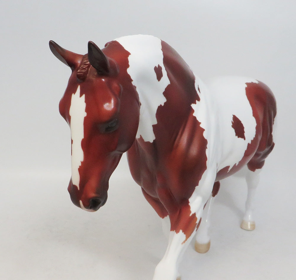 SEYMOUR- LE-15- CHESTNUT PINTO IRISH DRAFT MODEL HORSE BY AMANDA HOSTETLER 10/18/18