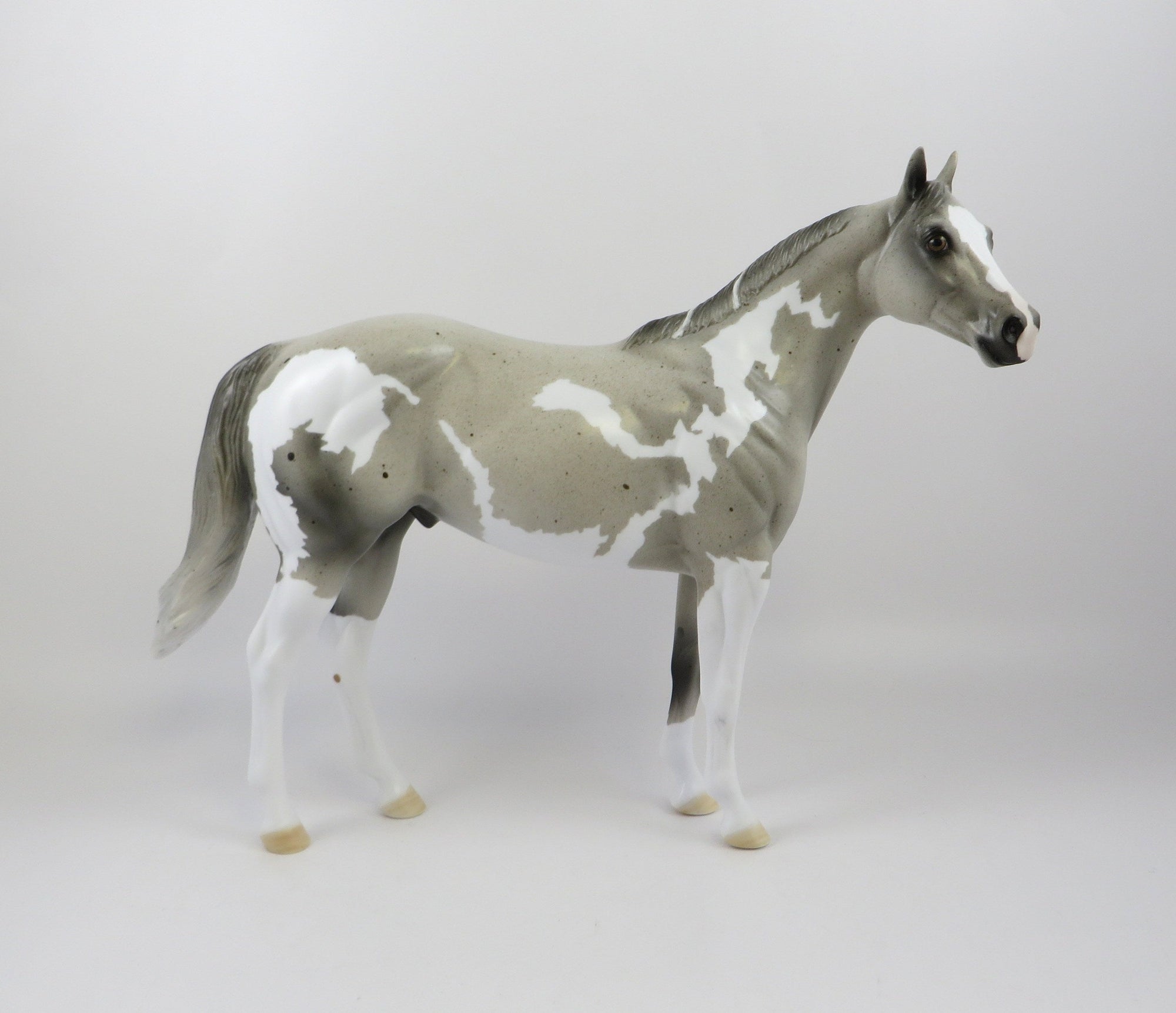 URI - OOAK LIGHT GREY PINTO ISH BY AMANDA HOSTETLER 6/27/19