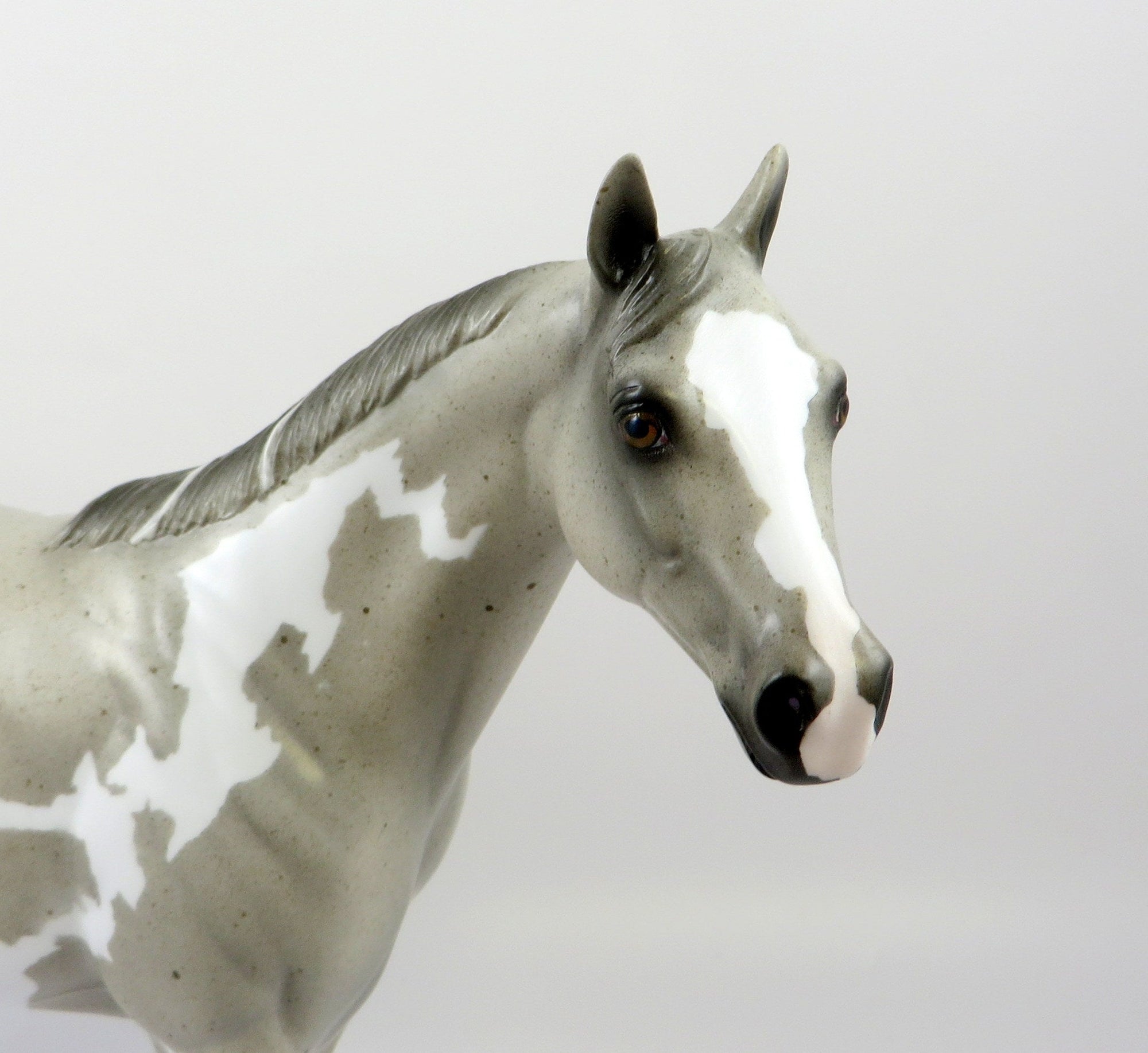 URI - OOAK LIGHT GREY PINTO ISH BY AMANDA HOSTETLER 6/27/19