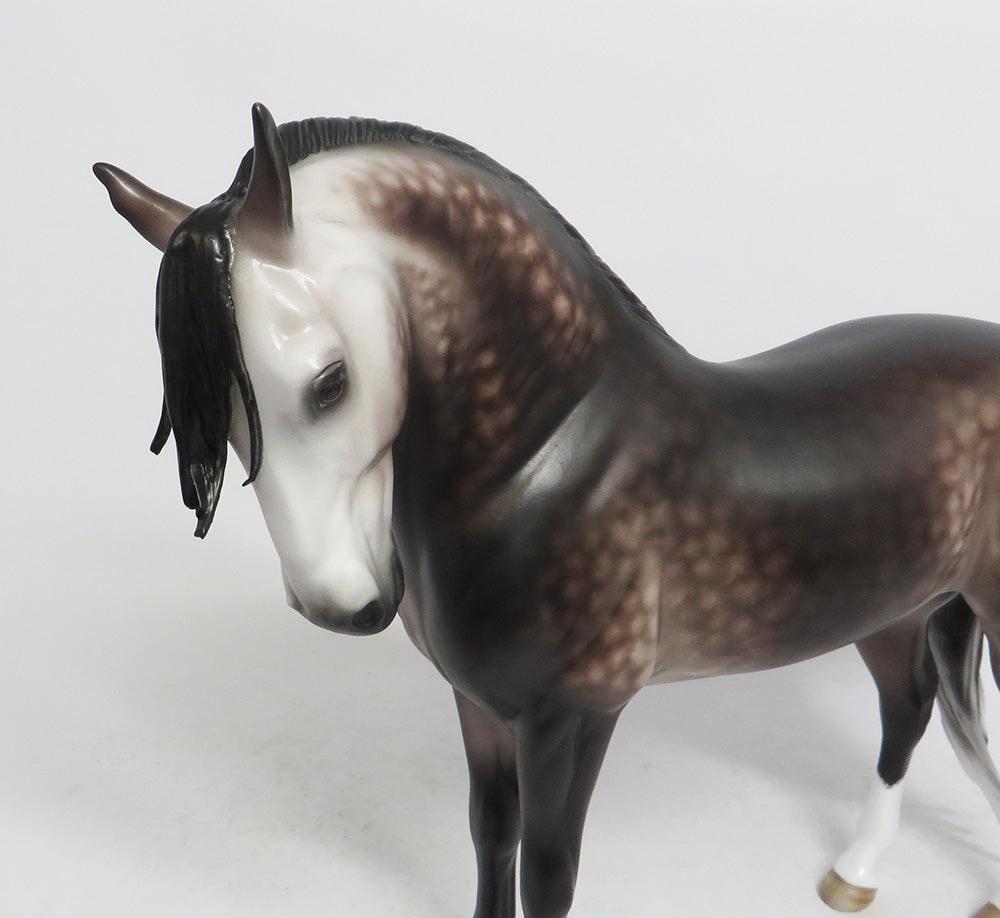 MAGIC POTION- OOAK DAPPLED GREY ANDALUSIAN 10/26/18