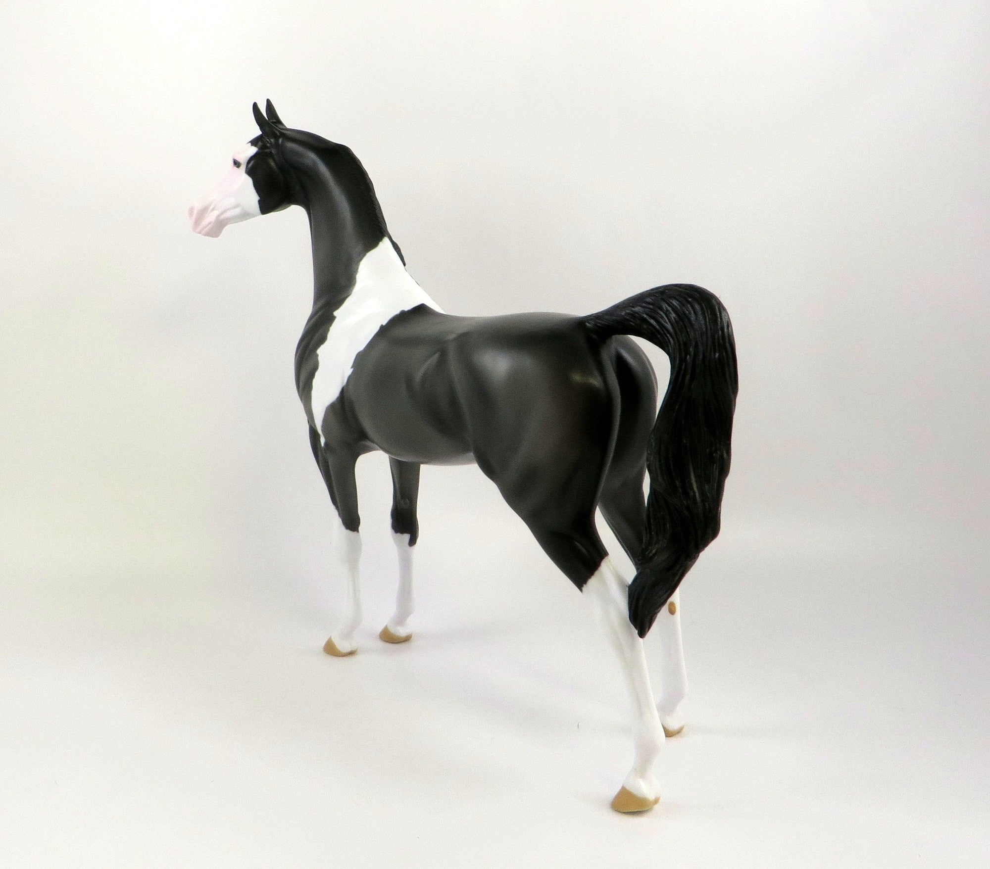 ALPHA -- OOAK -- DARK GREY PINTO ARABIAN BY KAYLA WESSE 7/2/19