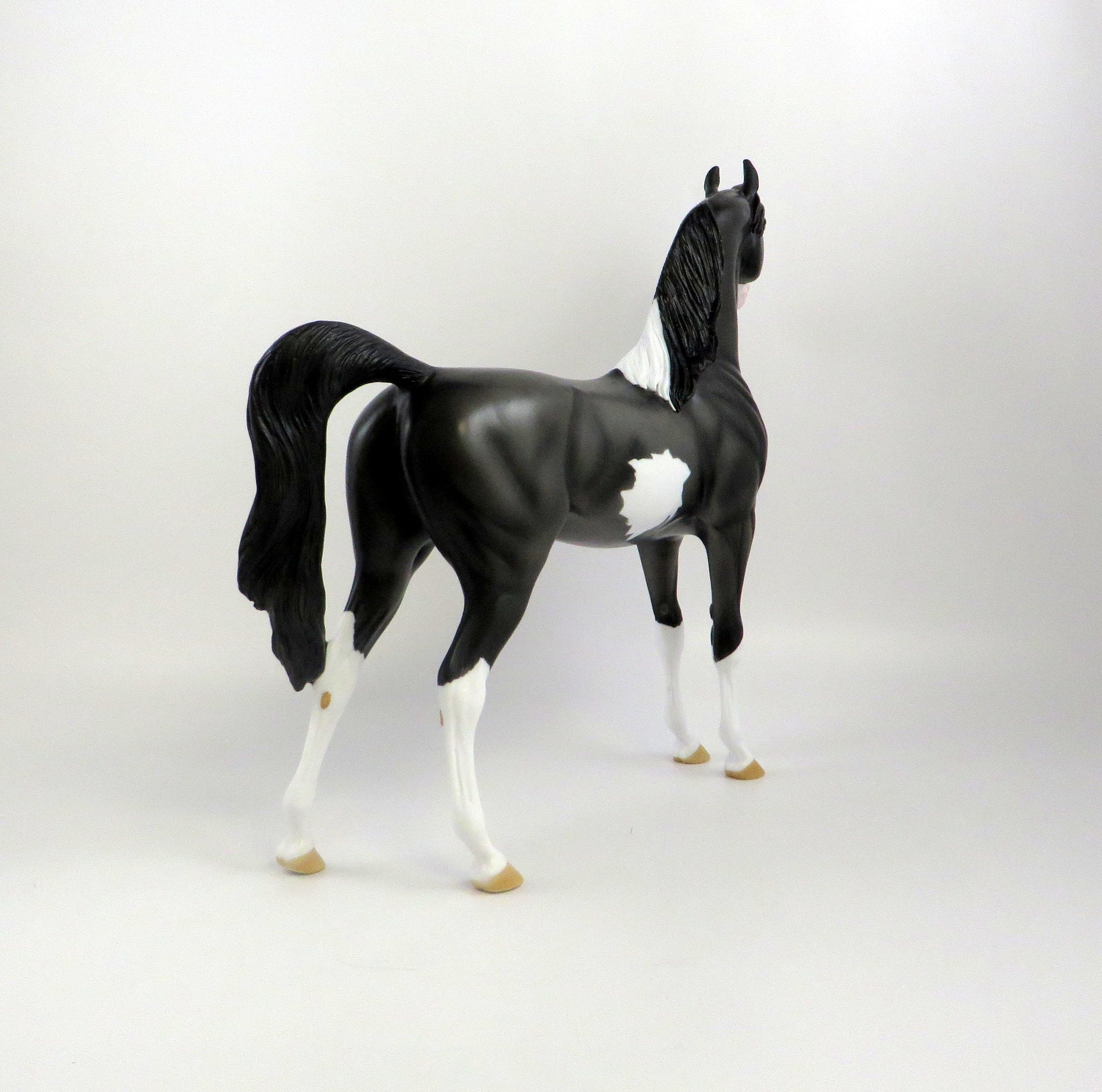 ALPHA -- OOAK -- DARK GREY PINTO ARABIAN BY KAYLA WESSE 7/2/19