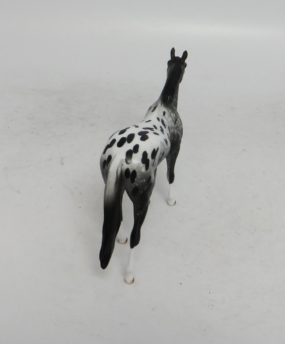 BLACK FRIDAY THANKFUL-OOAK APPALOOSA THOROUGHBRED CHIP BF 2018