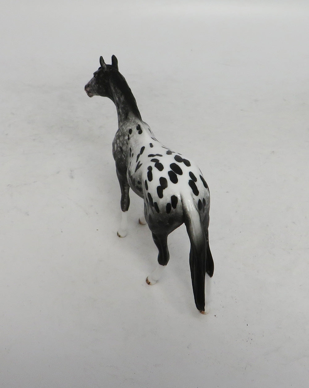 BLACK FRIDAY THANKFUL-OOAK APPALOOSA THOROUGHBRED CHIP BF 2018