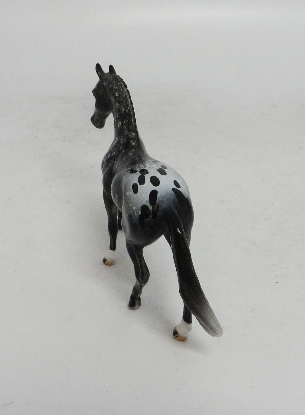 BLACK FRIDAY THANKFUL-OOAK APPALOOSA WARMBLOOD CHIP BF 2018