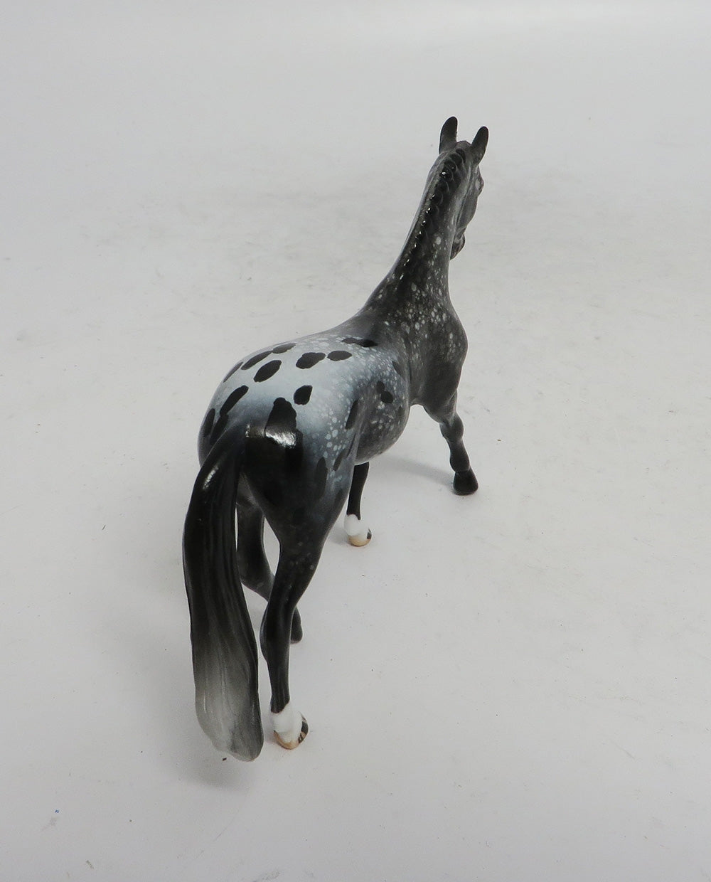 BLACK FRIDAY THANKFUL-OOAK APPALOOSA WARMBLOOD CHIP BF 2018