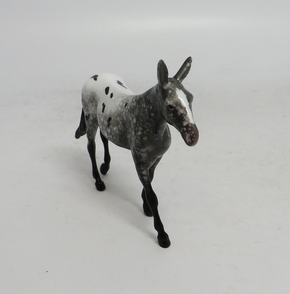 BLACK FRIDAY SPECIAL-LE-3 THANKFUL MULE APPALOOSA CHIP
