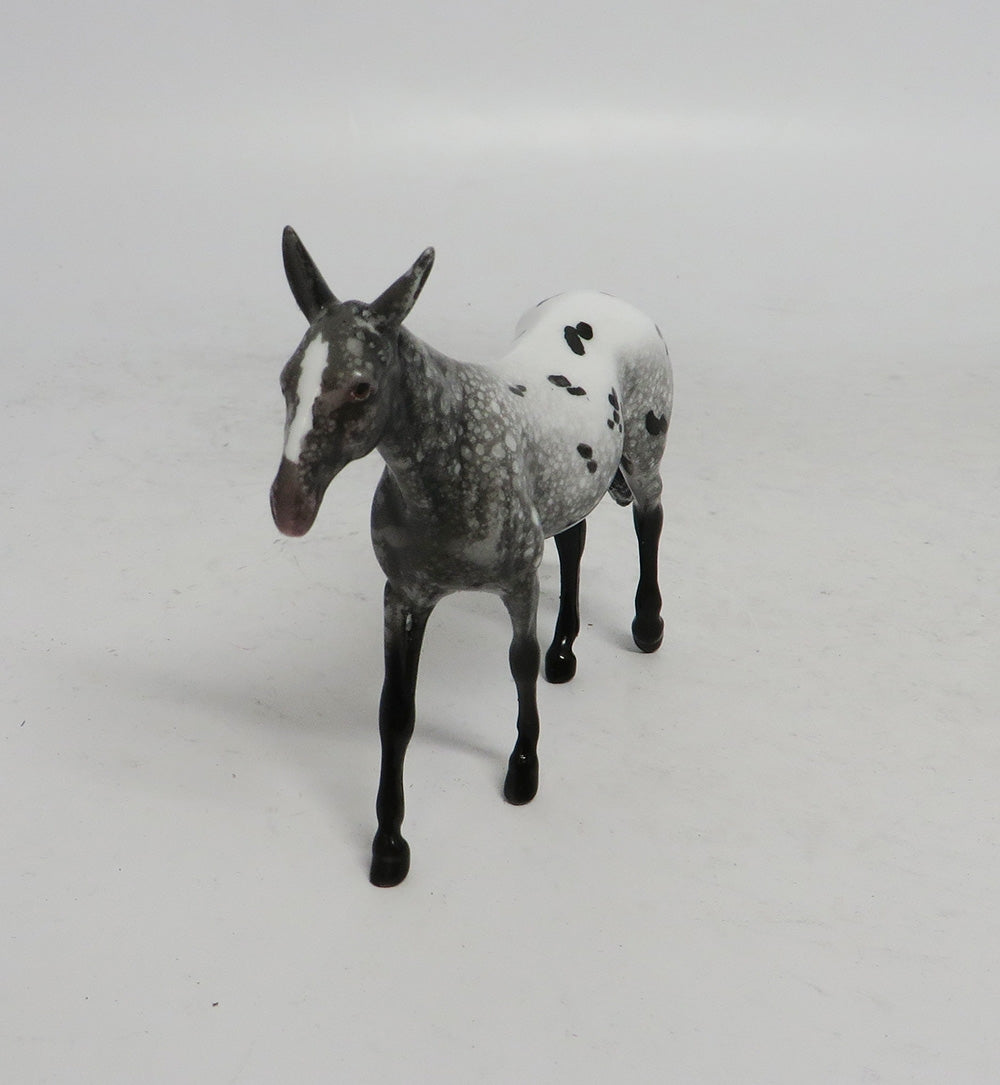 BLACK FRIDAY SPECIAL-LE-3 THANKFUL MULE APPALOOSA CHIP