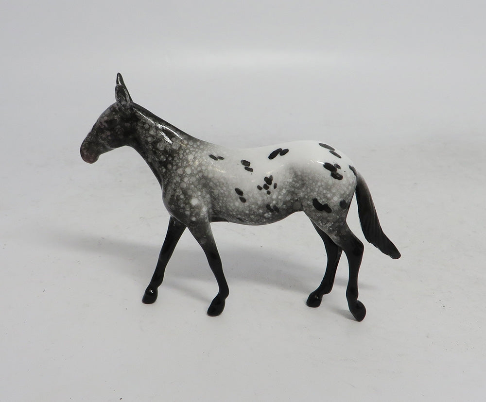 BLACK FRIDAY SPECIAL-LE-3 THANKFUL MULE APPALOOSA CHIP