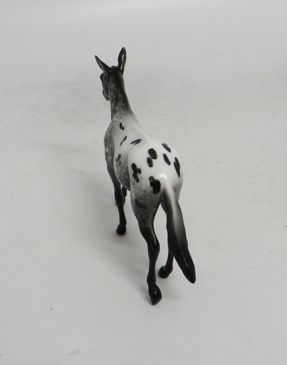 BLACK FRIDAY SPECIAL-LE-3 THANKFUL MULE APPALOOSA CHIP