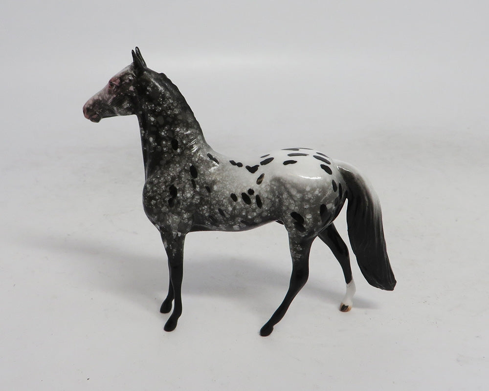 BLACK FRIDAY THANKFUL-LE-2 APPALOOSA MORGAN CHIP BF 2018