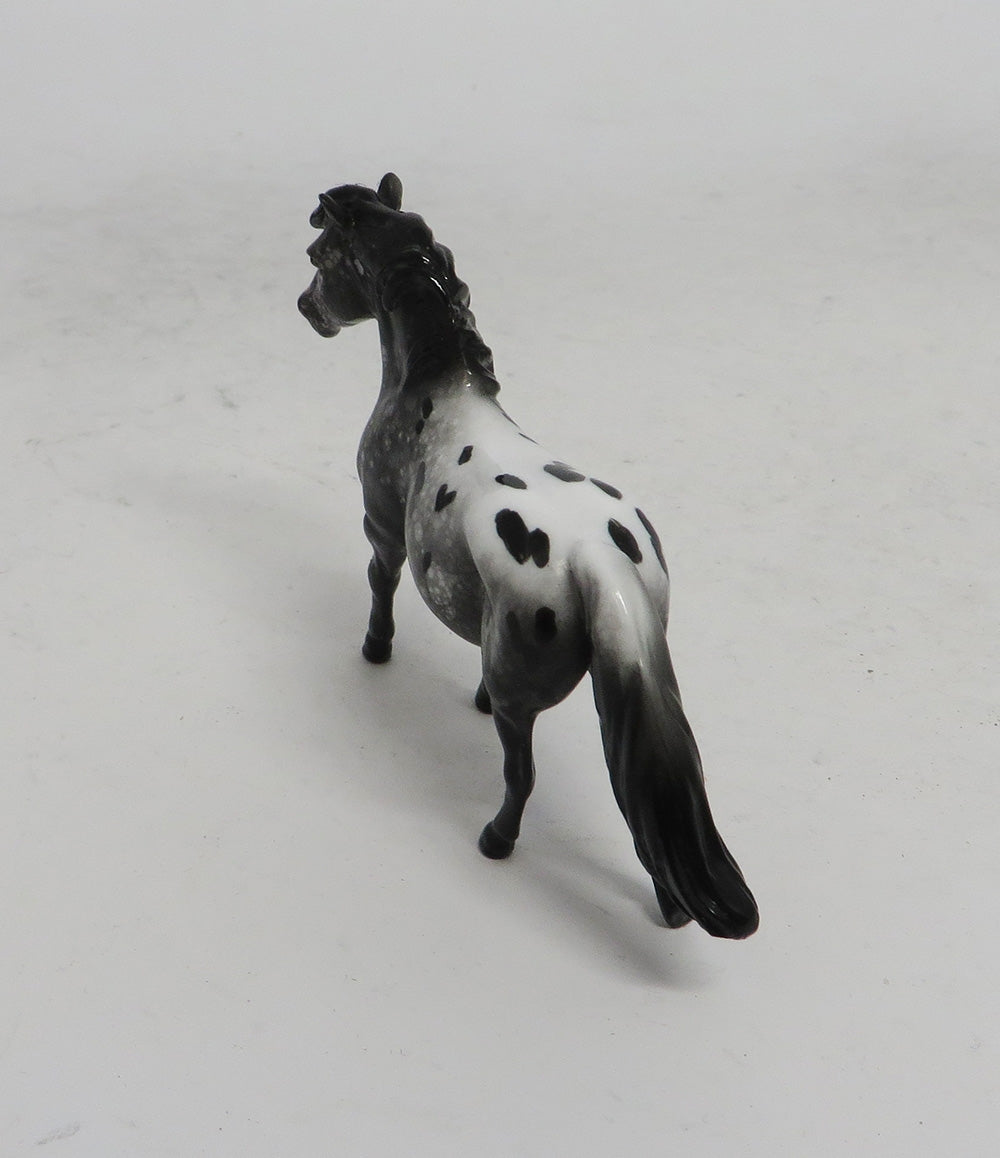 BLACK FRIDAY SPECIAL-LE-3 THANKFUL PONY APPALOOSA CHIP