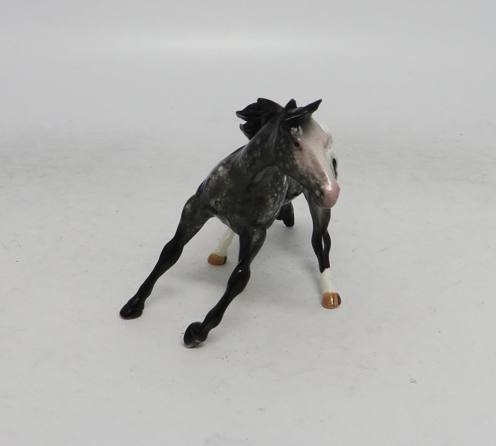 BLACK FRIDAY SPECIAL-LE-3 THANKFUL CUTTER CALF APPALOOSA CHIP