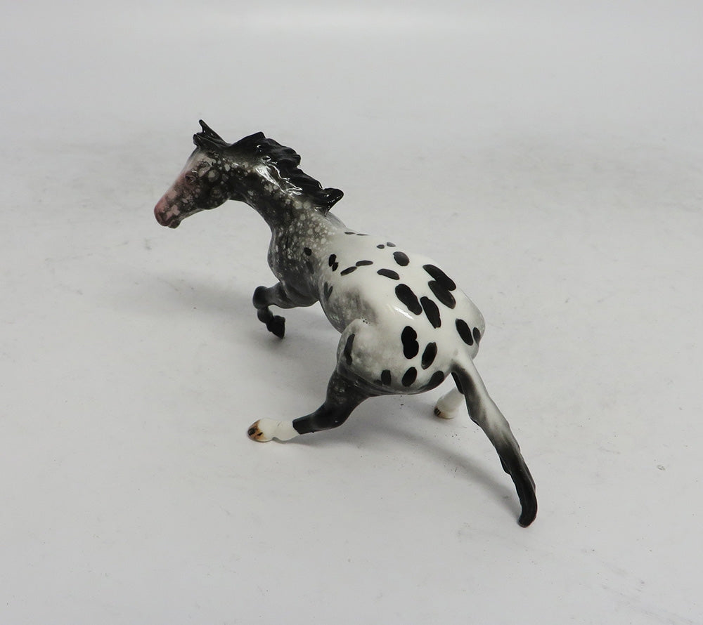 BLACK FRIDAY SPECIAL-LE-3 THANKFUL CUTTER CALF APPALOOSA CHIP