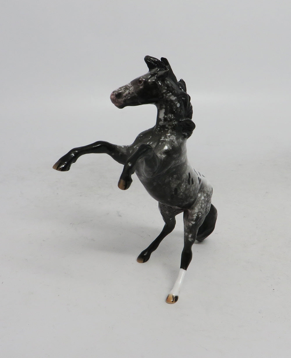 BLACK FRIDAY SPECIAL-LE-3 THANKFUL REARING APPALOOSA CHIP