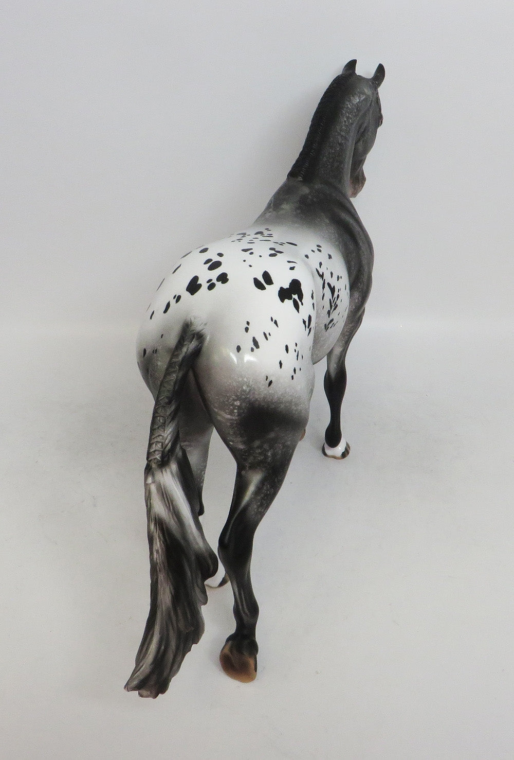 BLACK FRIDAY THANKFUL SPOTS-LE-10 APPALOOSA THOROUGHBRED