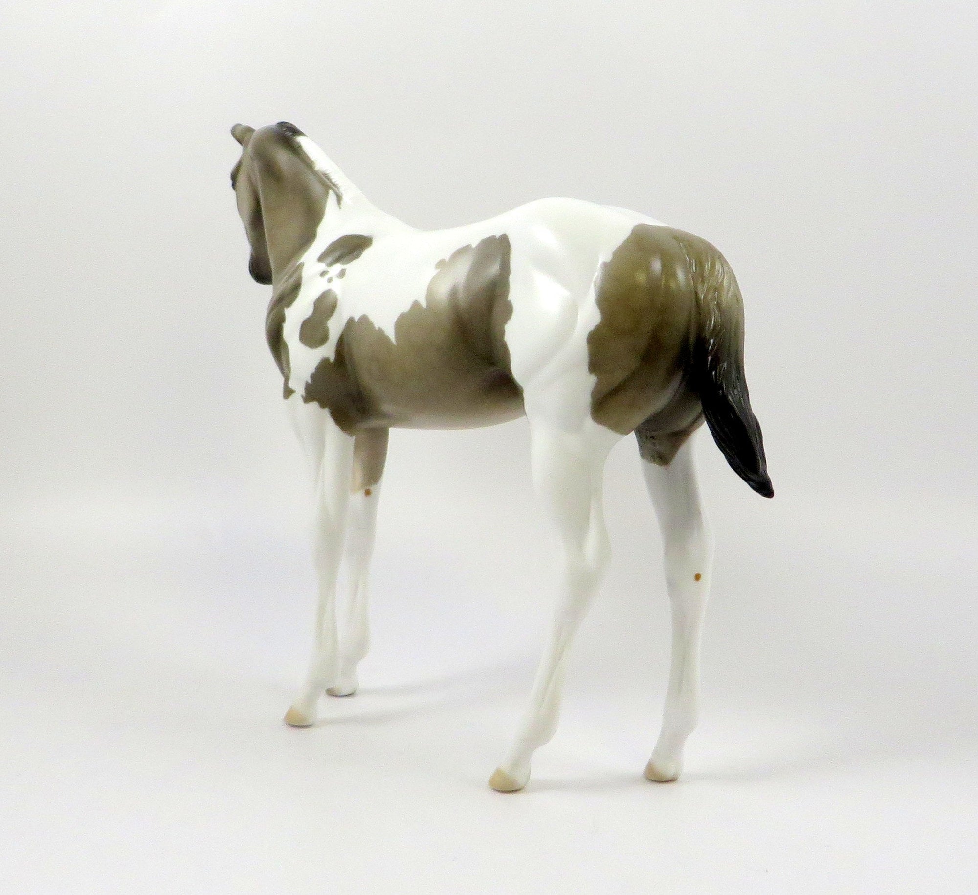 GEVE-OOAK GRULLA PAINT WEANLING MODEL HORSE EQ 19