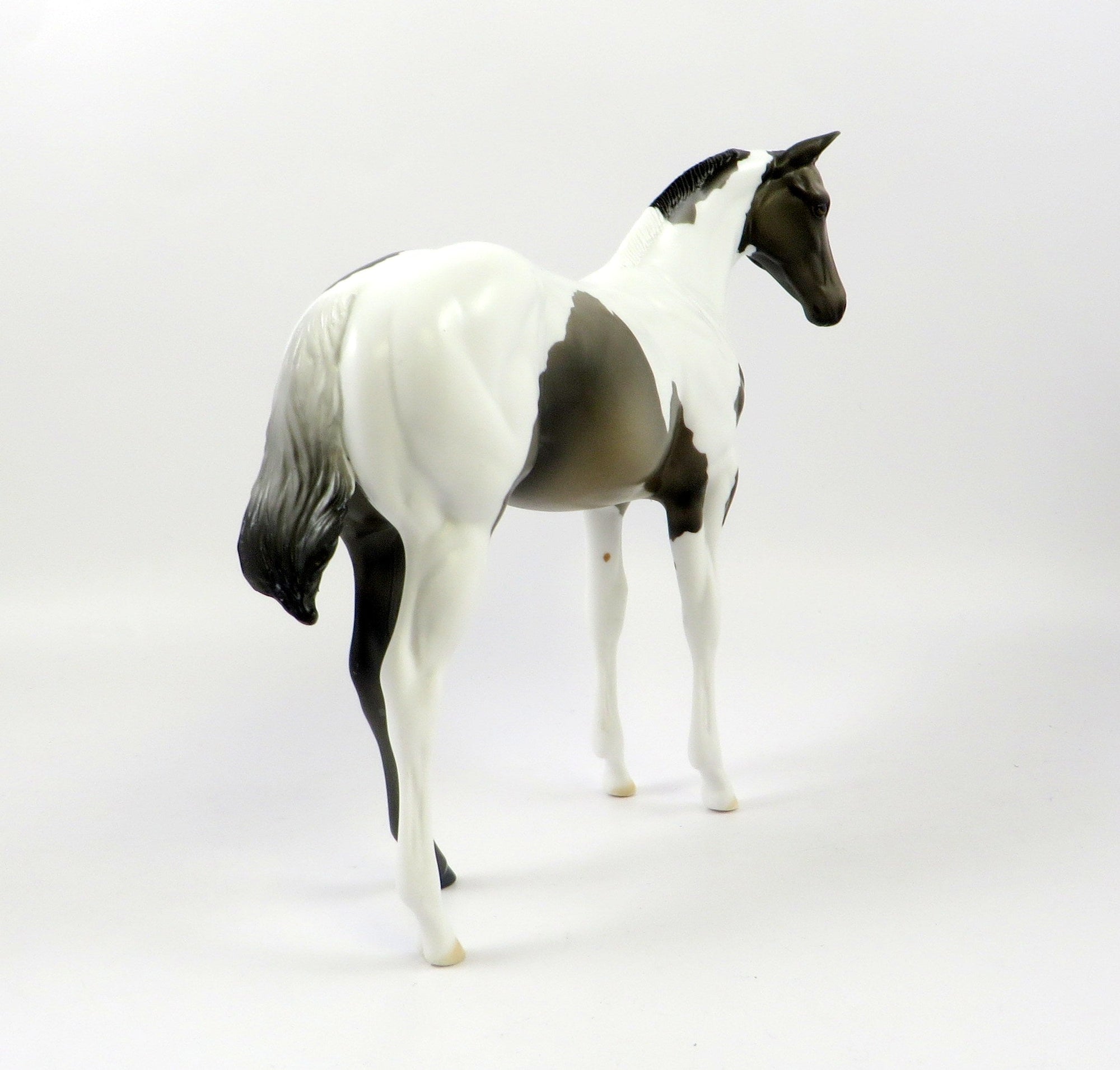 FAULKE-OOAK GRULLA PAINT WEANLING MODEL HORSE EQ 19