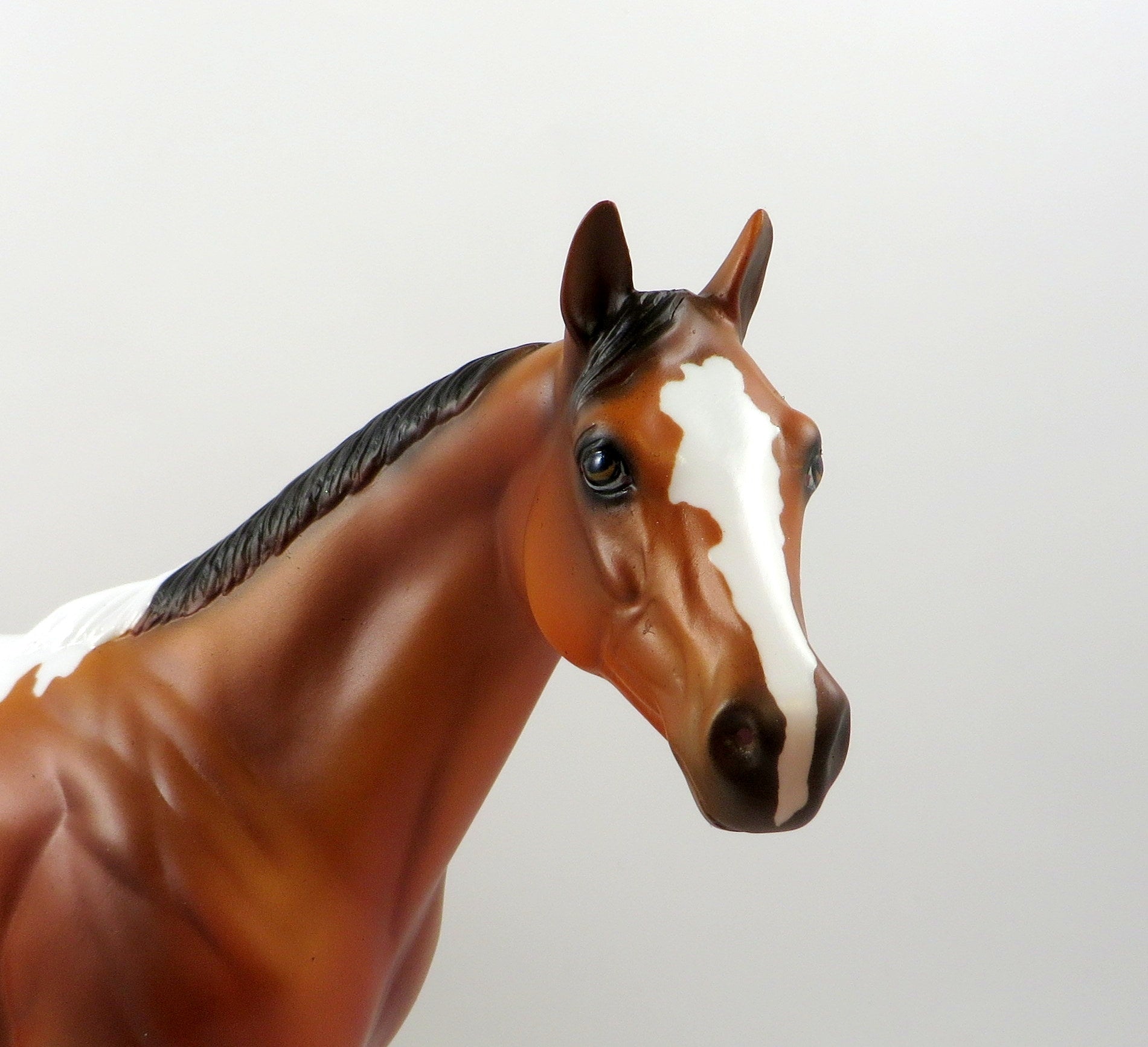 QUAVO-OOAK BAY APPALOOSA ISH MODEL HORSE 7/26/19