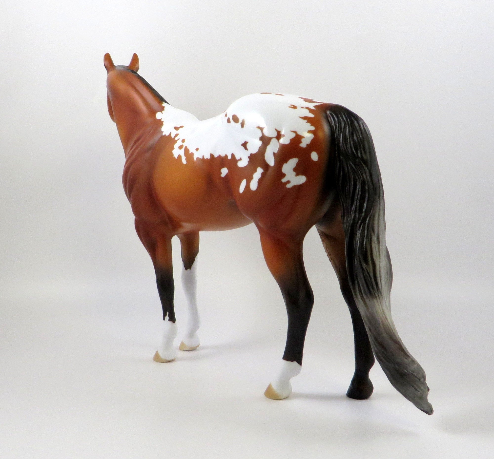 QUAVO-OOAK BAY APPALOOSA ISH MODEL HORSE 7/26/19