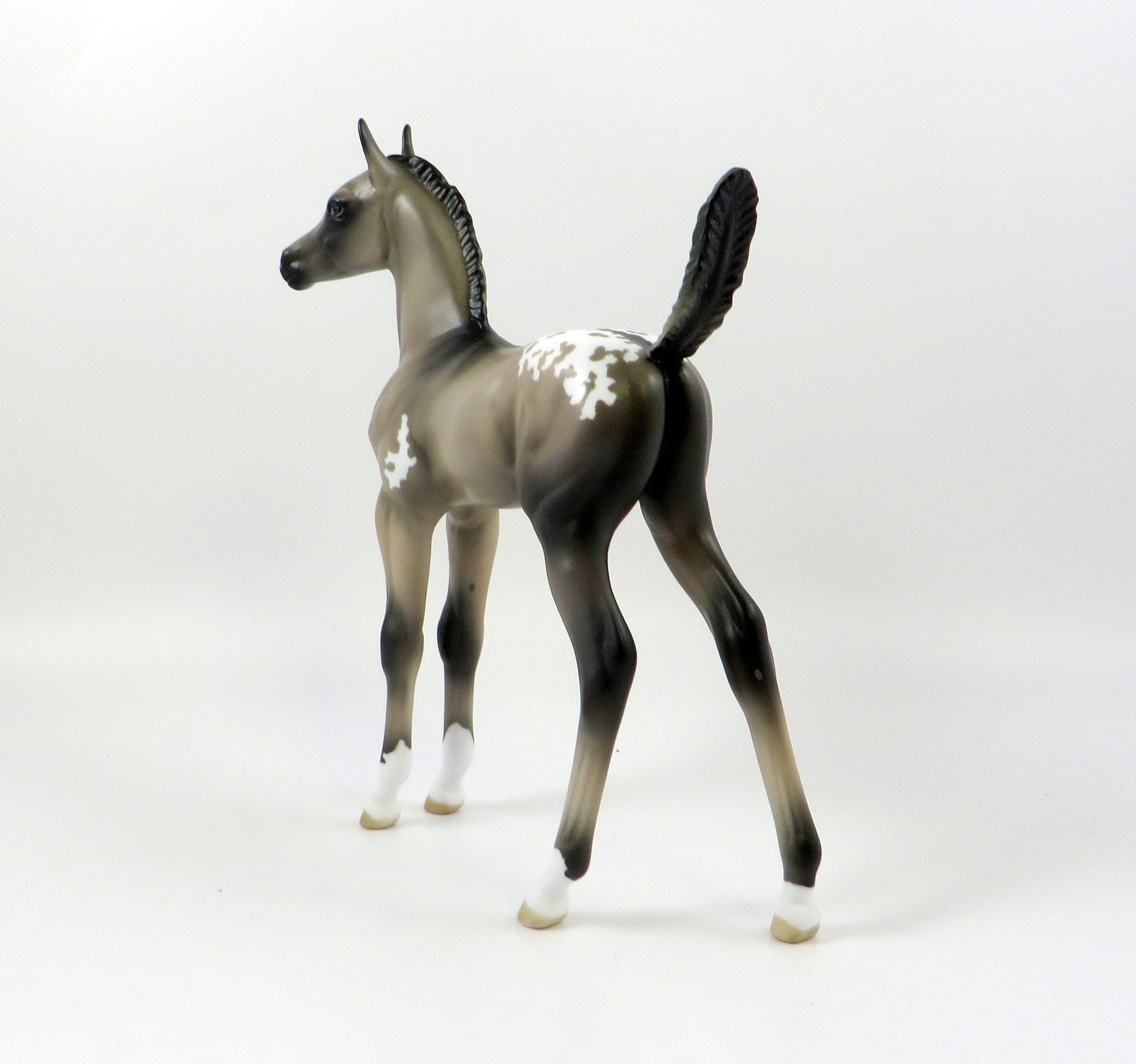 SEVANA-OOAK GRULLA APPALOOSA ARABIAN FOAL MODEL HORSE 7/25/19